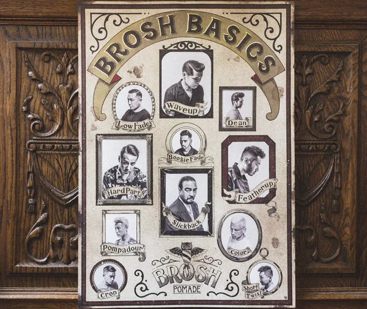 BROSH BASICS POSTER