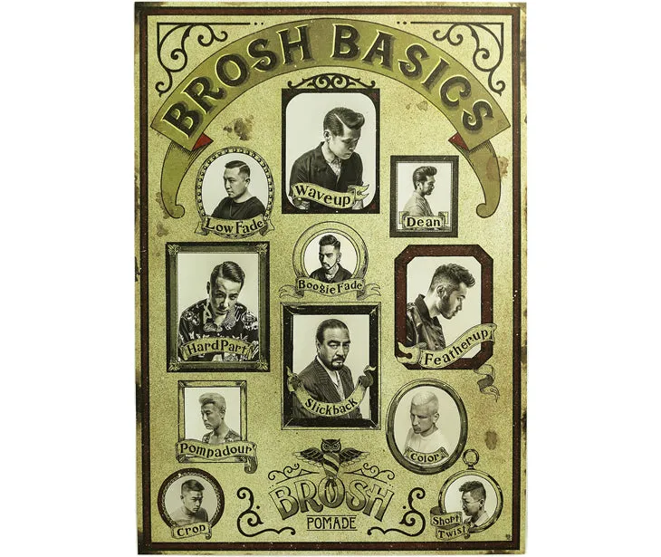 BROSH BASICS POSTER