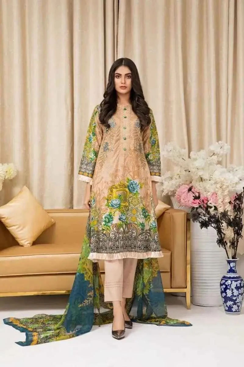 IshDeena Pakistani Dresses for Women Ready to Wear Salwar Kameez Ladies Suit - 3 Piece (Extra Small, Apricot - Embroidery Vol3)